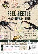 “FEEL BEETLE 2016”開催決定日⭐︎