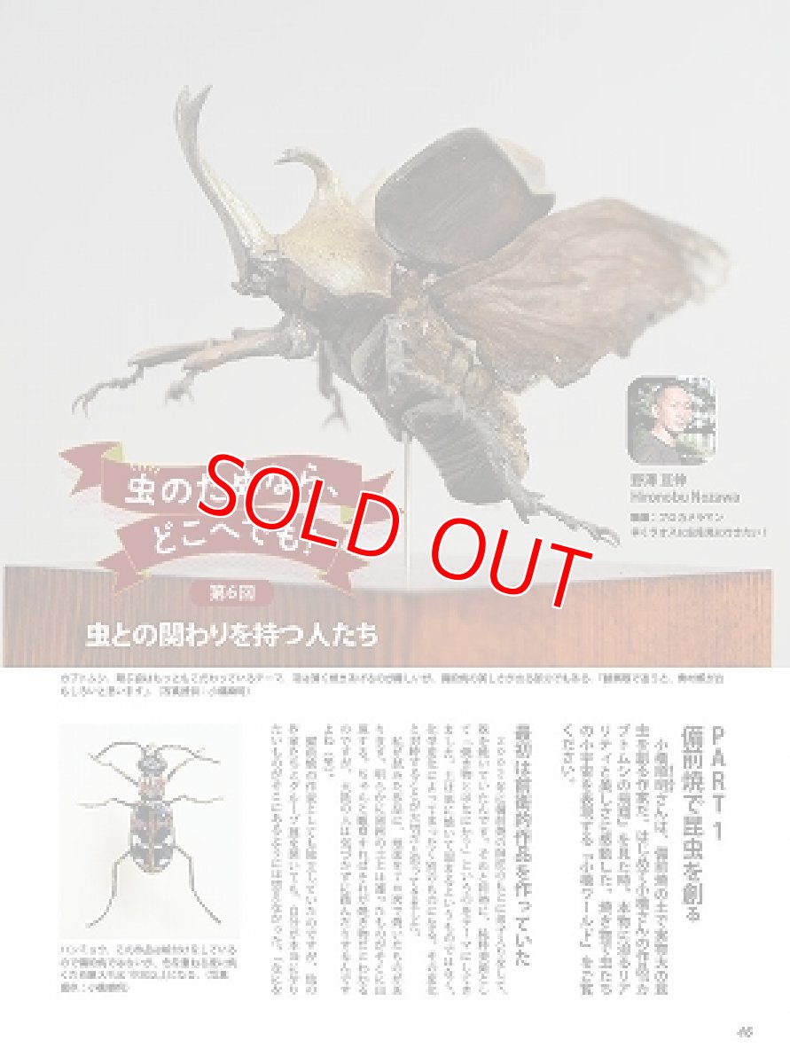 画像8: BE-KUWA No.79 (8)