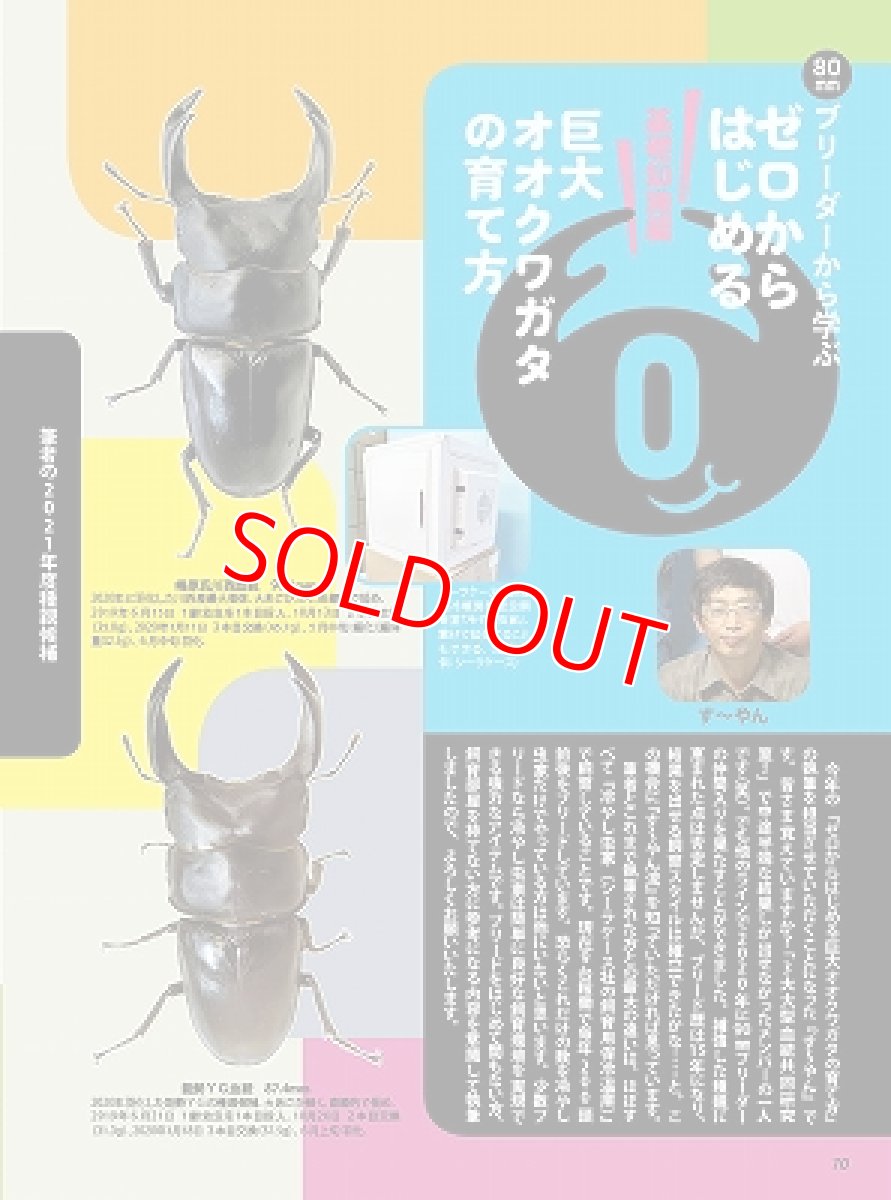 画像10: BE-KUWA No.79 (10)