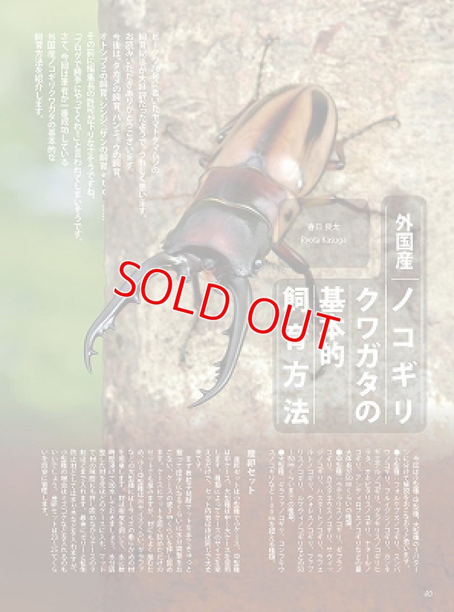 画像7: BE-KUWA No.79 (7)