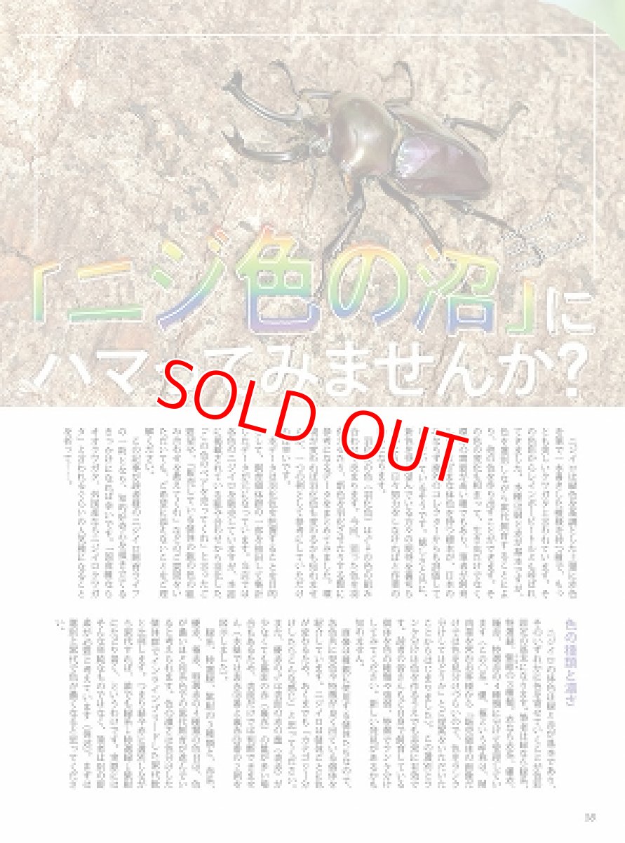 画像9: BE-KUWA No.79 (9)