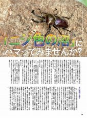 画像9: BE-KUWA No.79 (9)