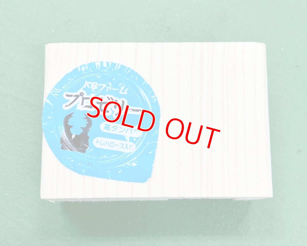 画像2: ★U工房★隠れ家&ペアリングエサ皿《S》「16g用レギュラー1穴」 (2)