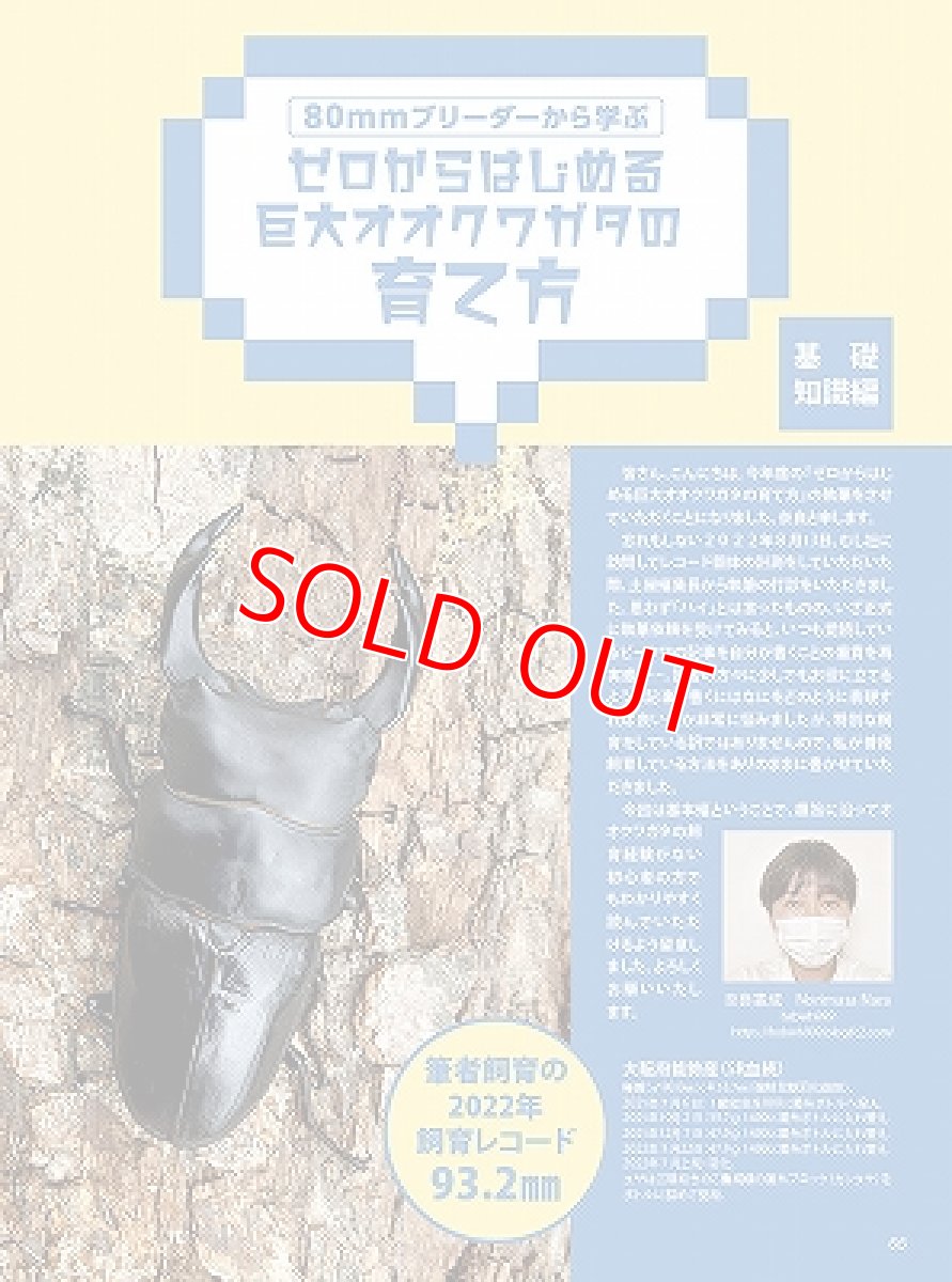 画像5: BE-KUWA No.87 (5)