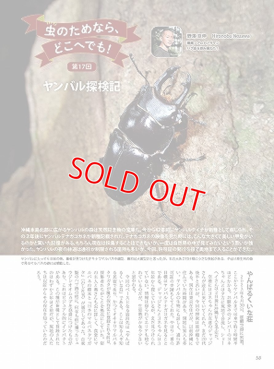 画像5: BE-KUWA No.90 (5)