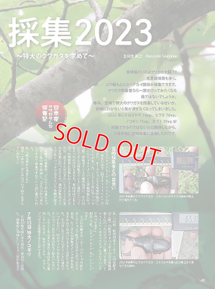 画像4: BE-KUWA No.90 (4)