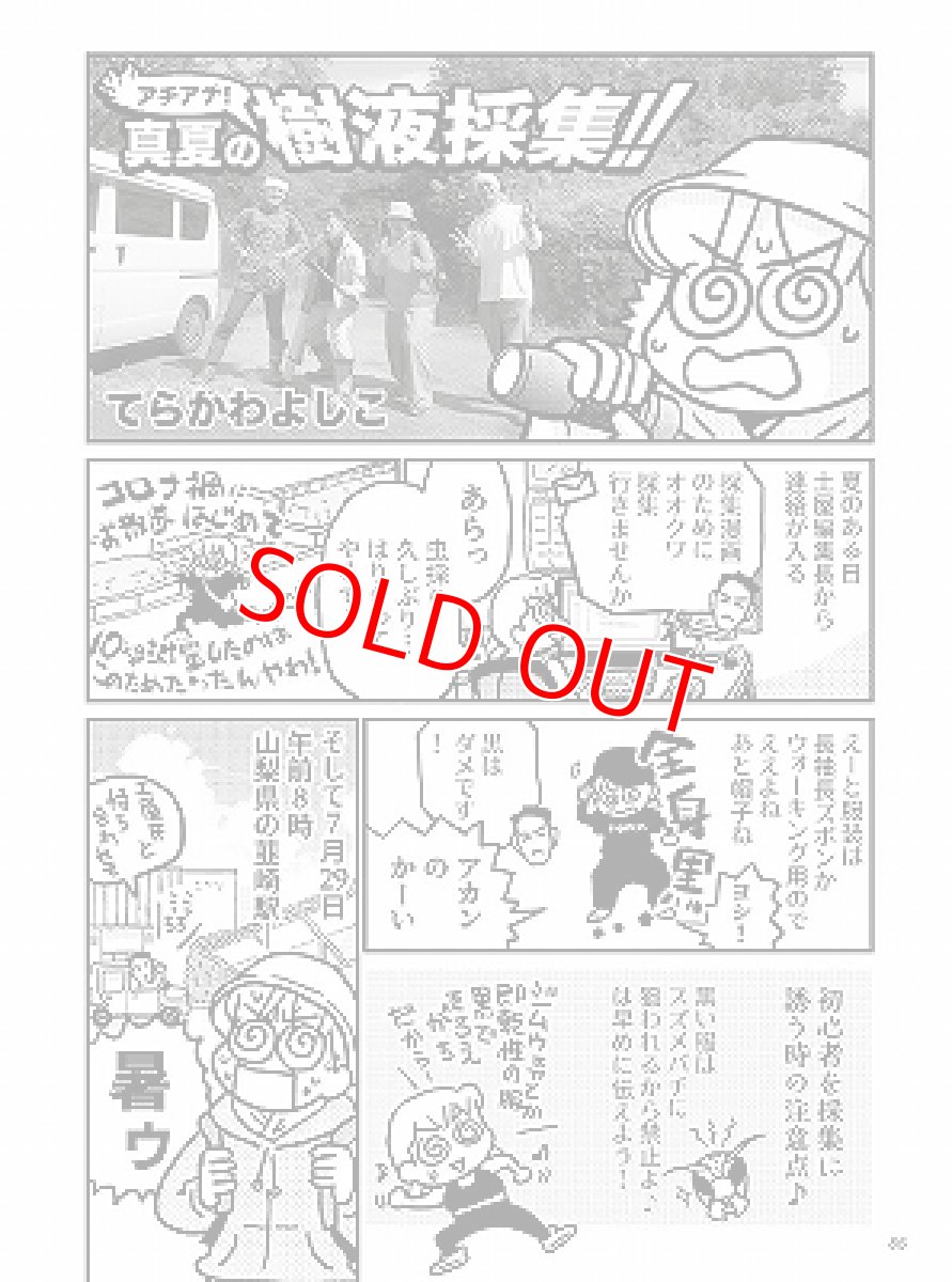 画像7: BE-KUWA No.89 (7)