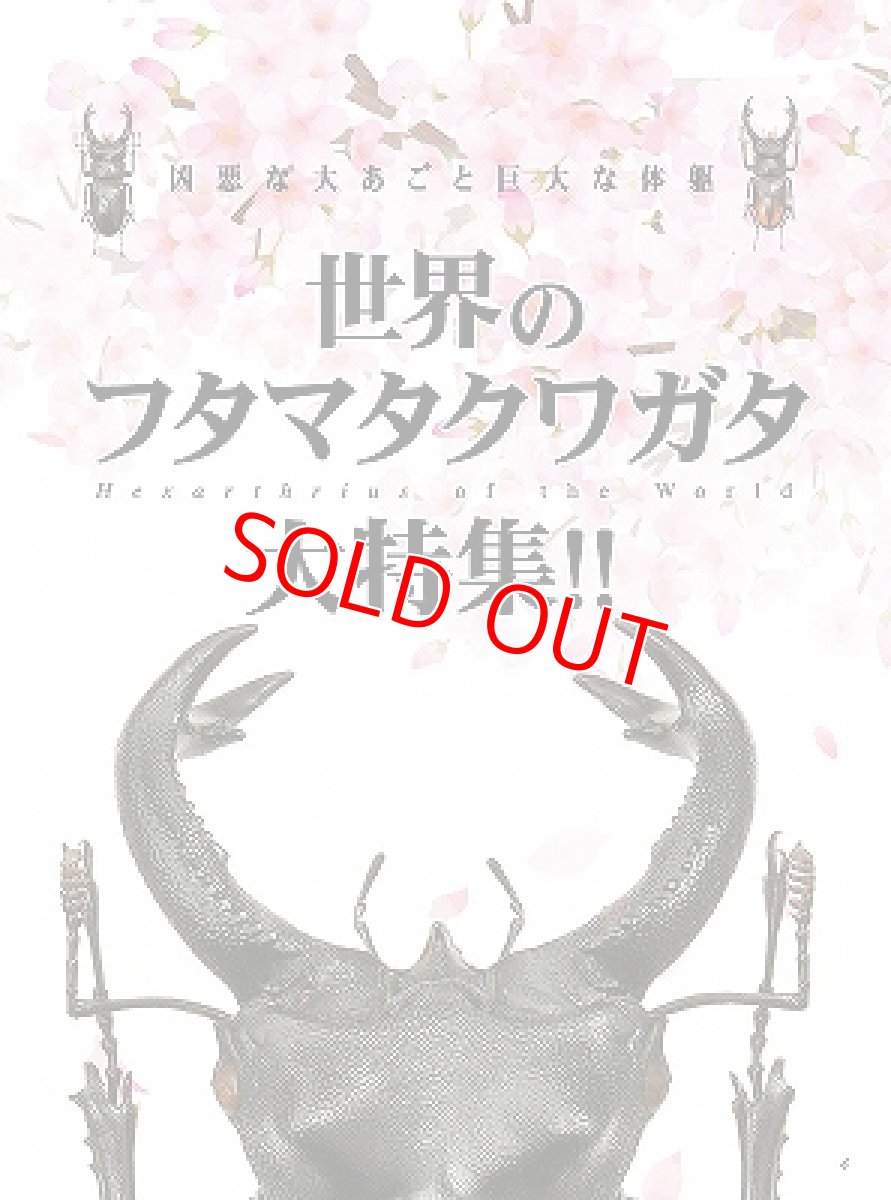 画像3: BE-KUWA No.87 (3)