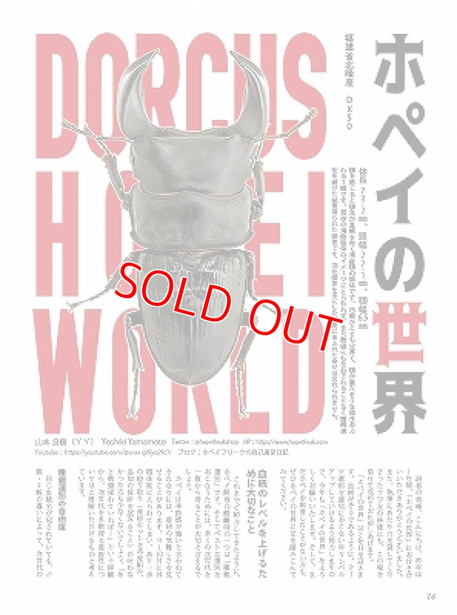 画像7: BE-KUWA No.90 (7)