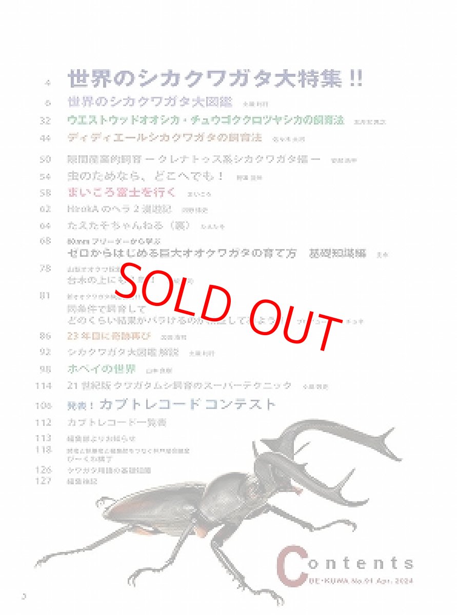 画像2: BE-KUWA No.91 (2)