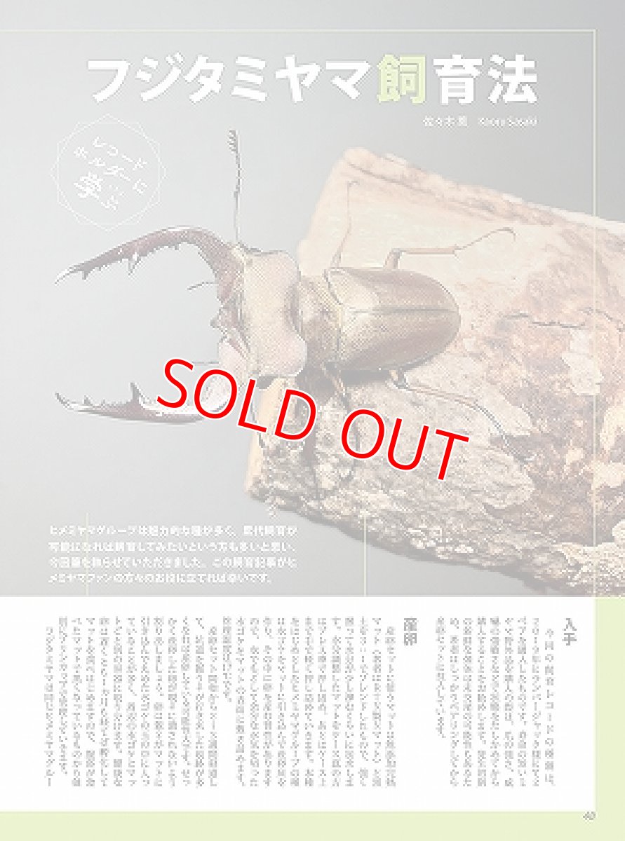 画像4: BE-KUWA No.89 (4)