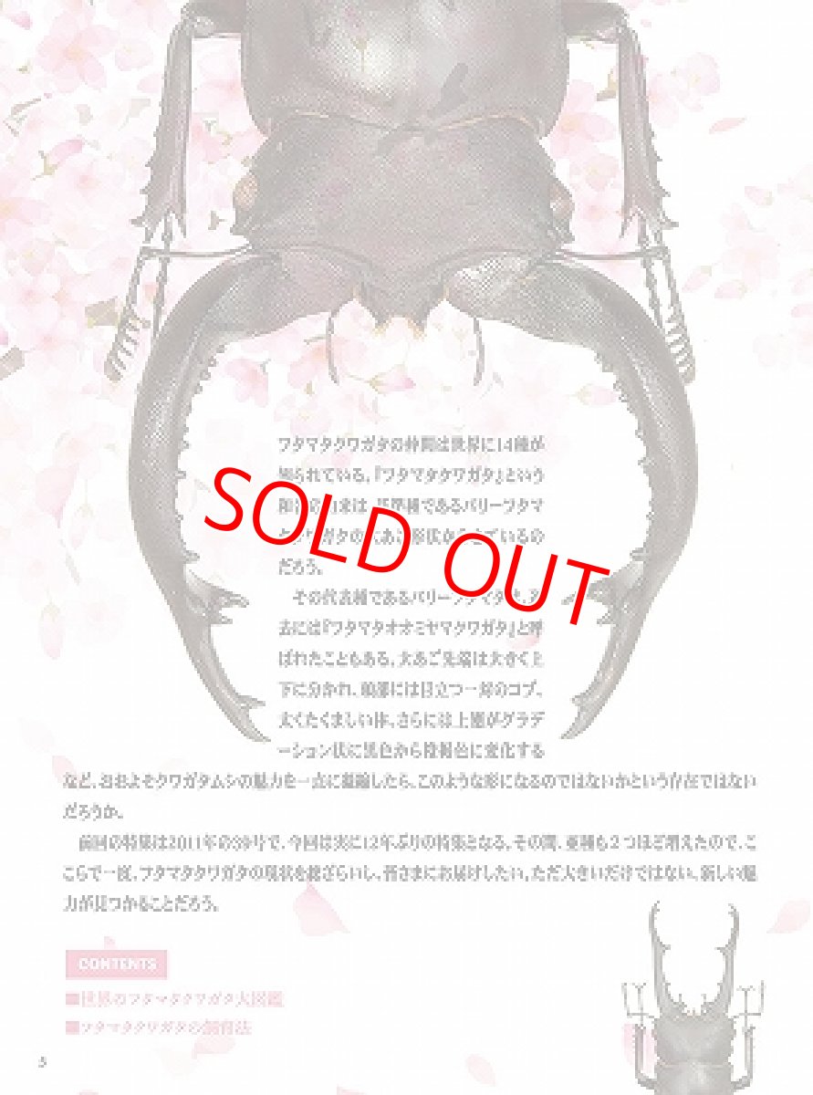 画像4: BE-KUWA No.87 (4)