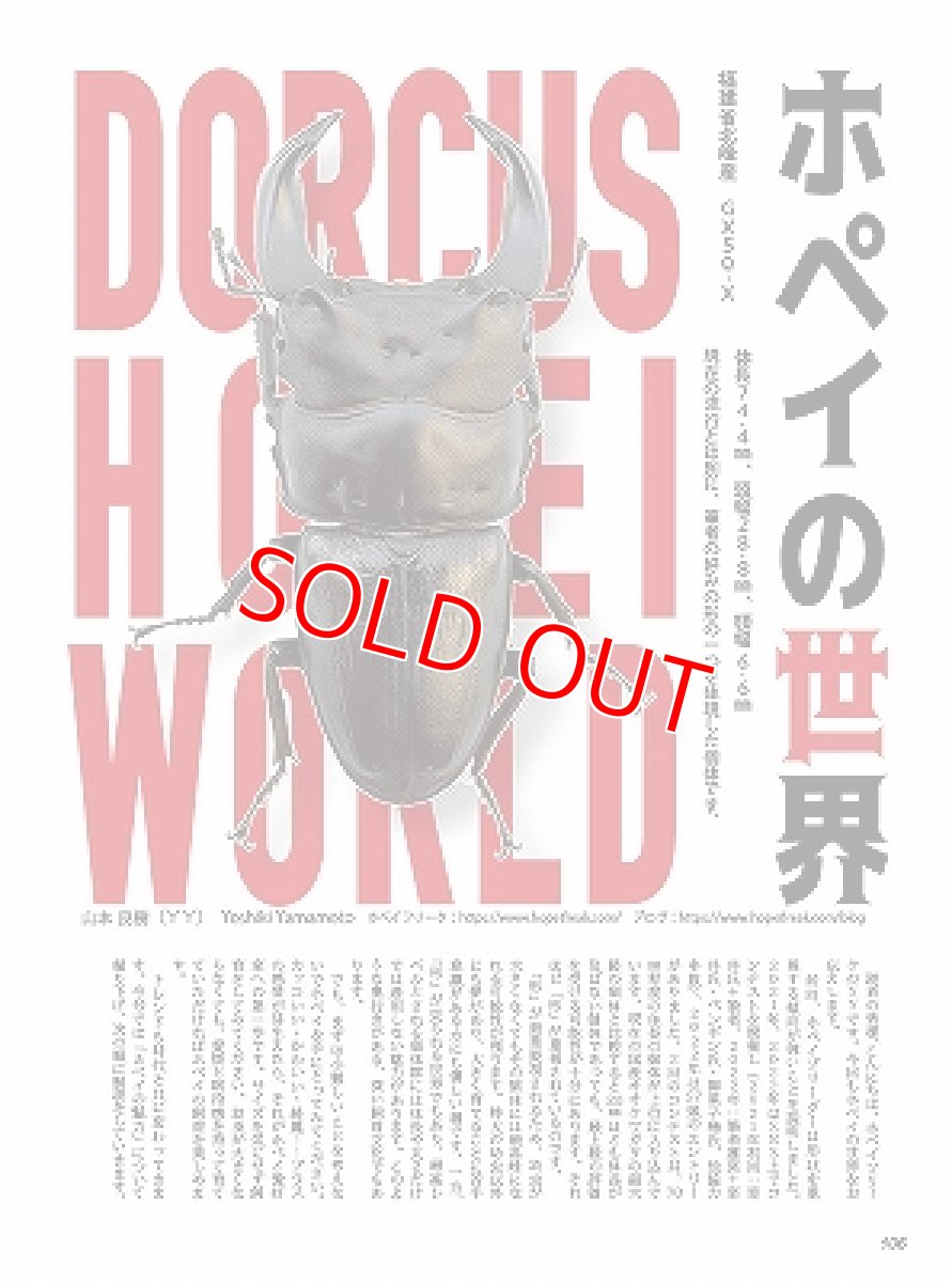 画像8: BE-KUWA No.87 (8)