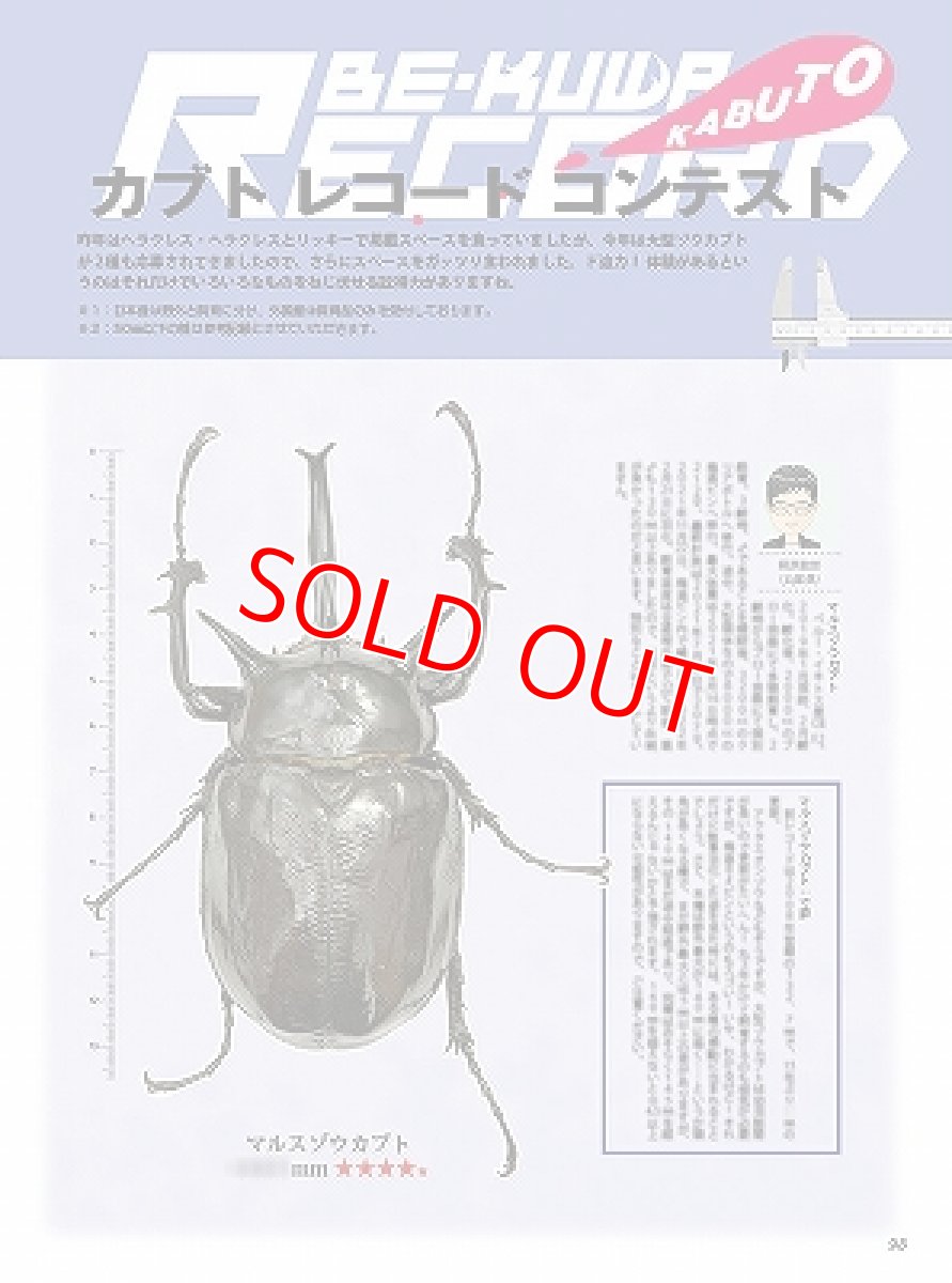 画像7: BE-KUWA No.87 (7)