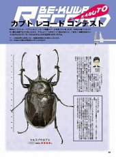 画像7: BE-KUWA No.87 (7)