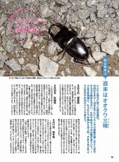 画像6: BE-KUWA No.90 (6)