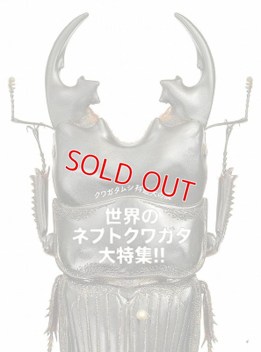 画像2: BE-KUWA No.86 (2)