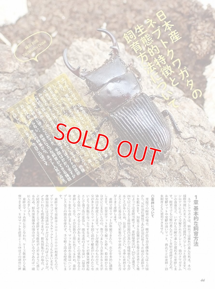 画像4: BE-KUWA No.86 (4)