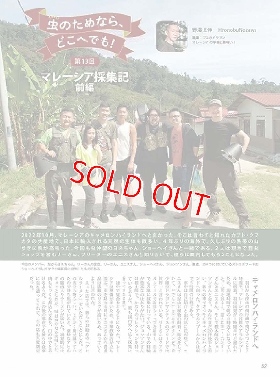 画像5: BE-KUWA No.86 (5)