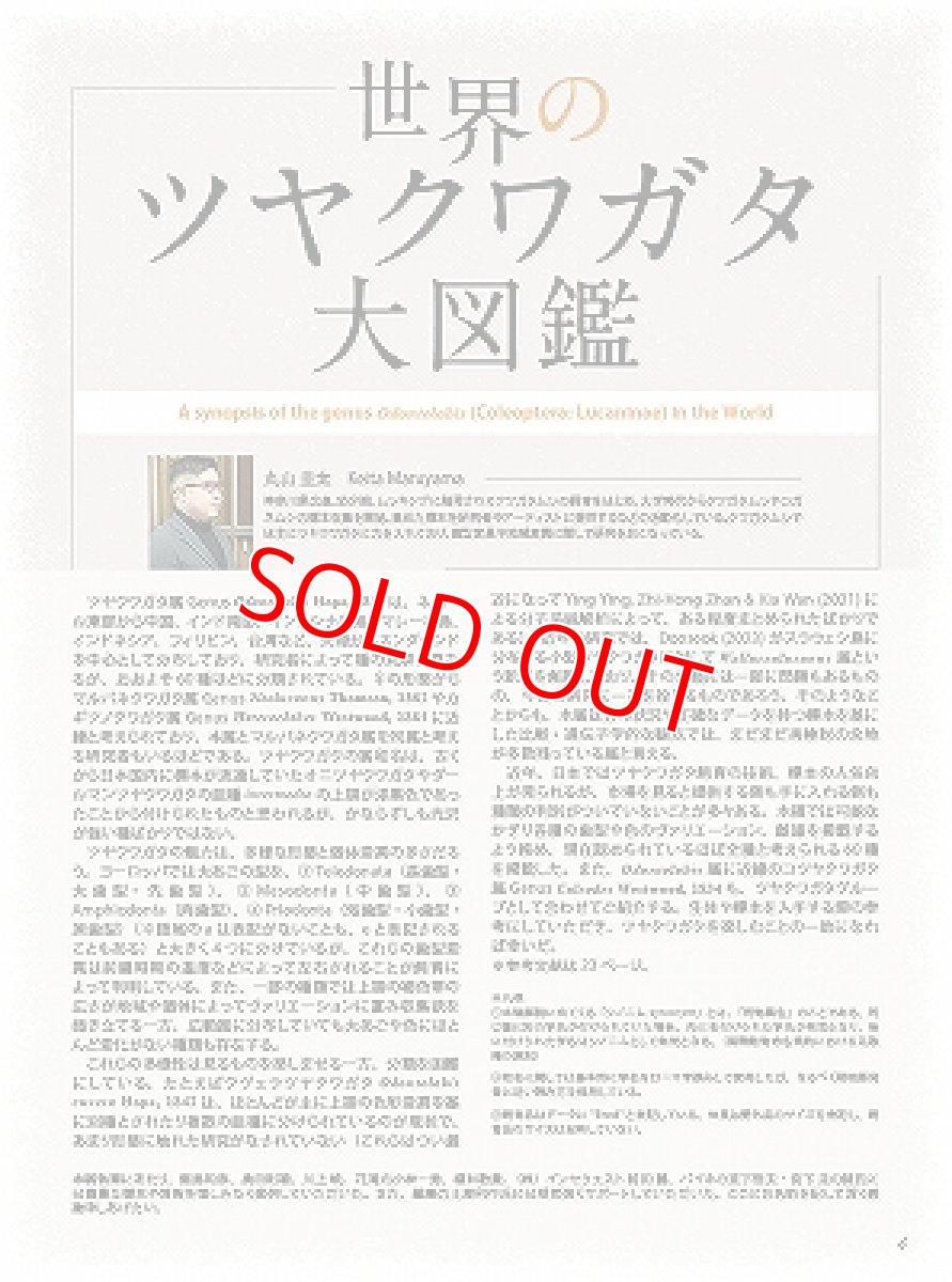 画像2: BE-KUWA No.90 (2)