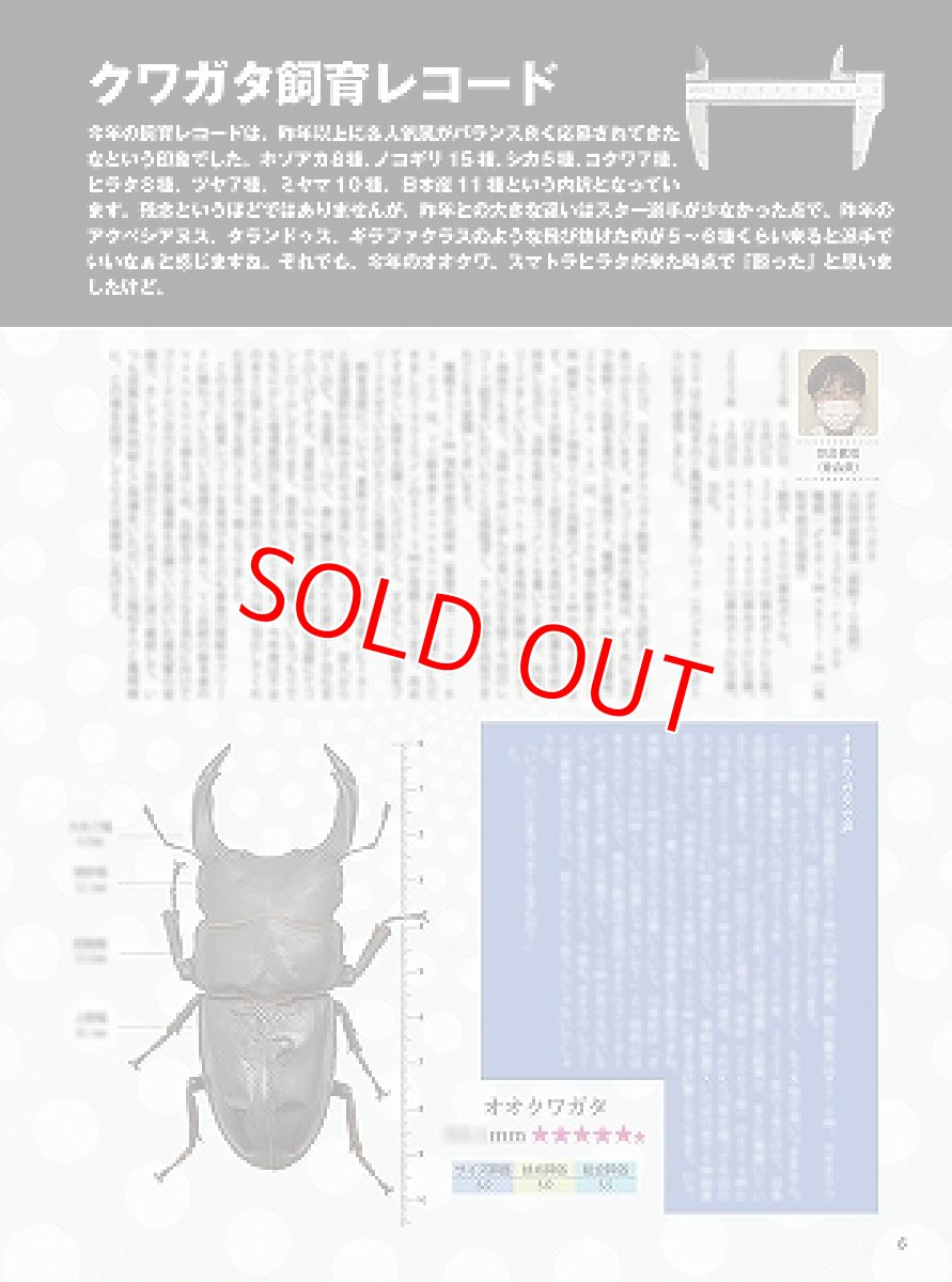 画像2: BE-KUWA No.89 (2)