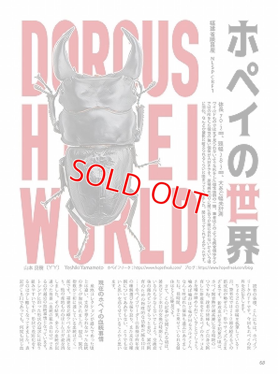 画像6: BE-KUWA No.89 (6)