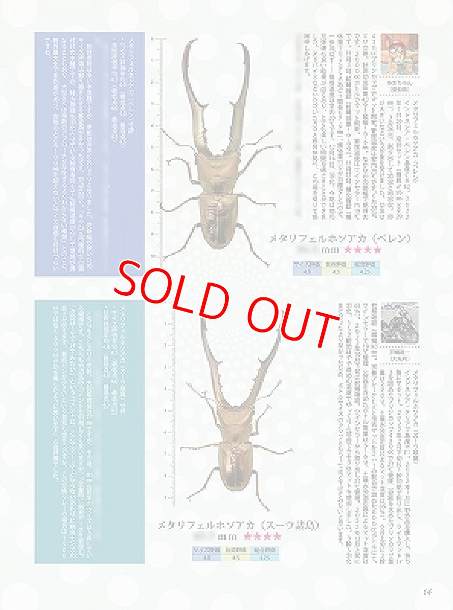 画像3: BE-KUWA No.89 (3)