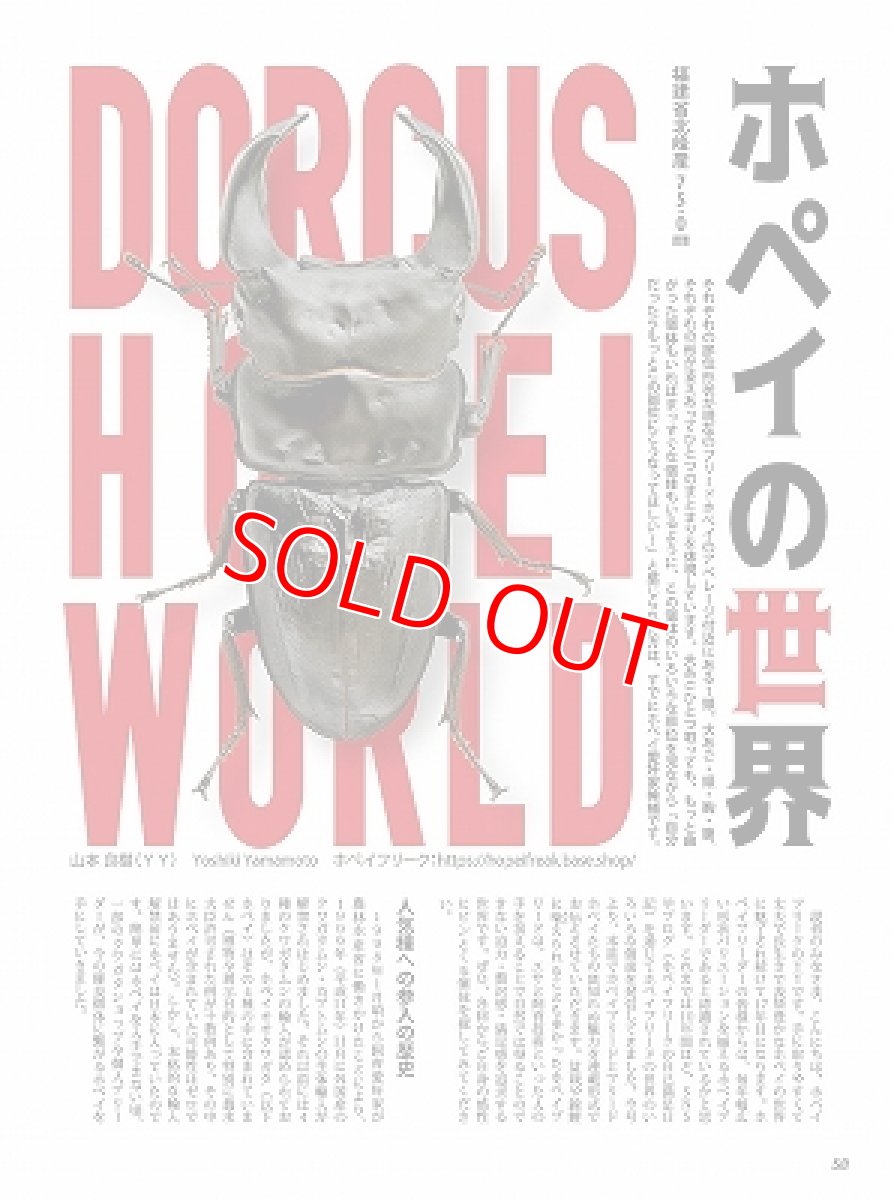 画像6: BE-KUWA No.86 (6)