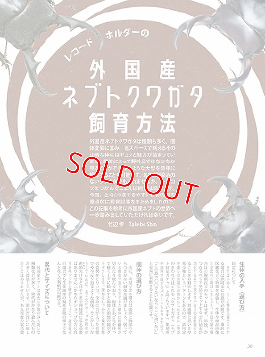 画像3: BE-KUWA No.86 (3)