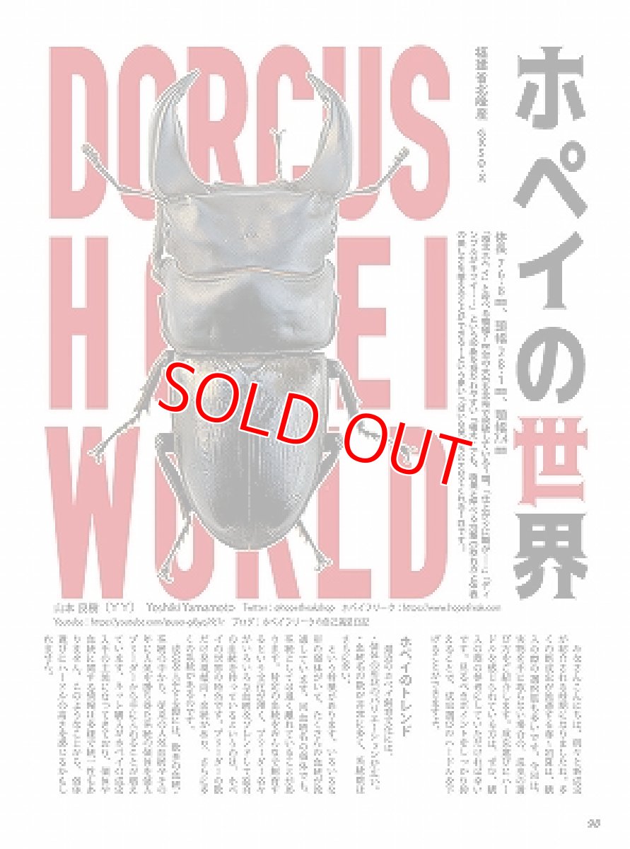 画像8: BE-KUWA No.91 (8)