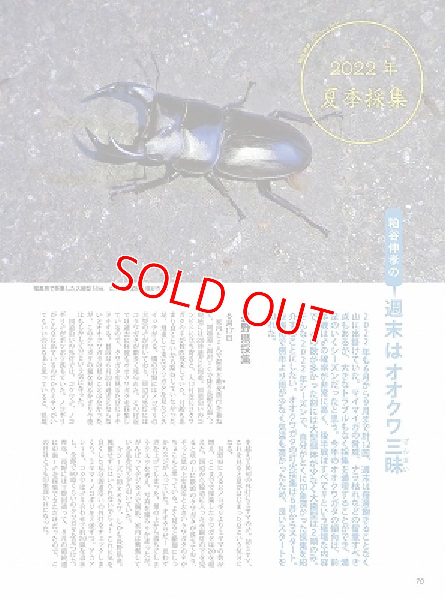 画像7: BE-KUWA No.86 (7)