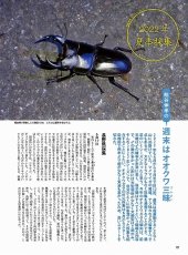 画像7: BE-KUWA No.86 (7)