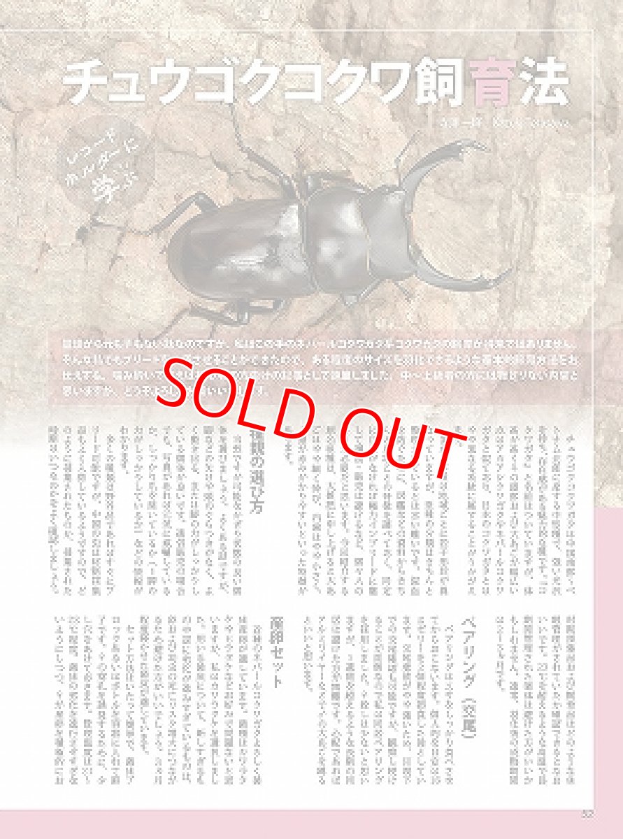 画像5: BE-KUWA No.89 (5)