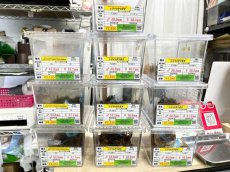 画像1: 6/15店舗陳列完了✨ (1)