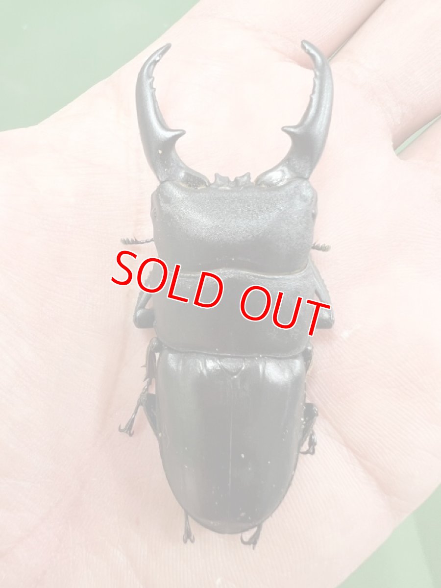 画像3: 6/24新着✨ (3)