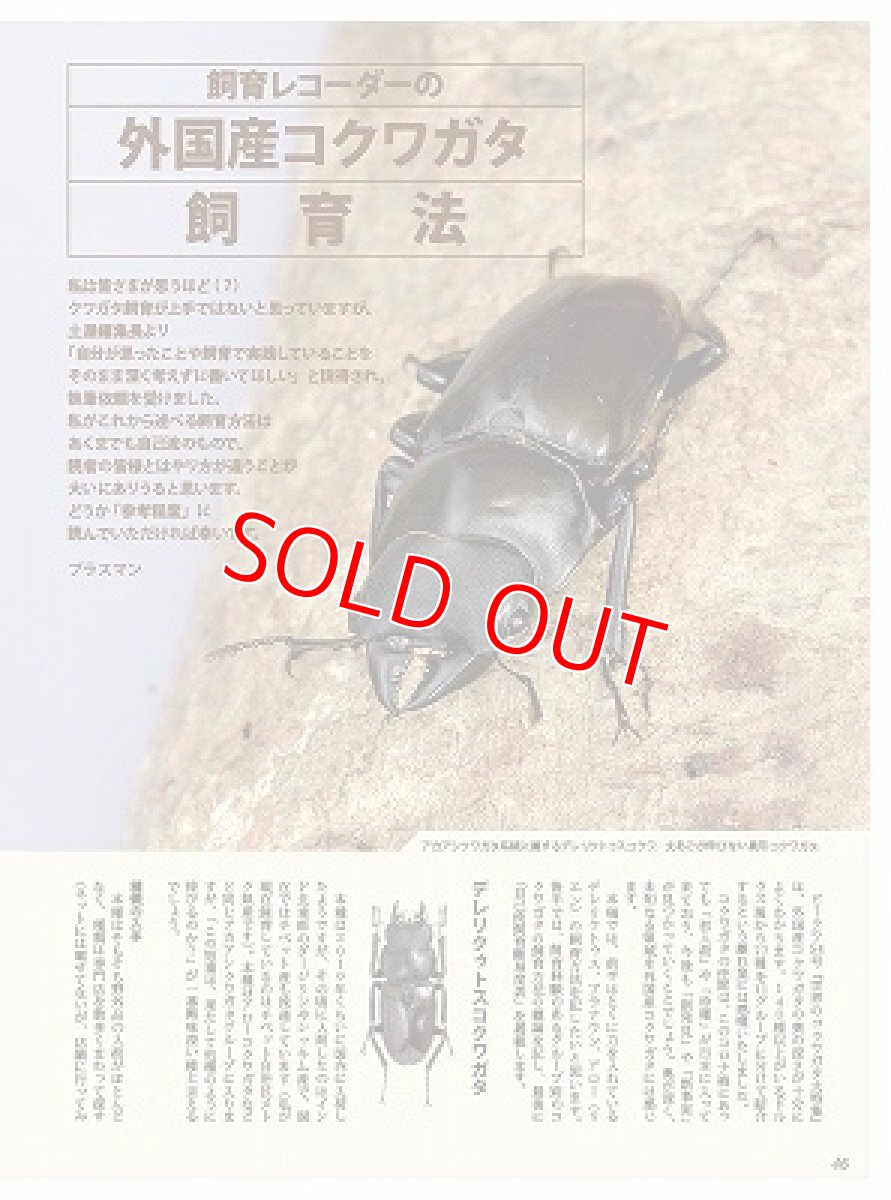 画像10: BE-KUWA No.81 (10)