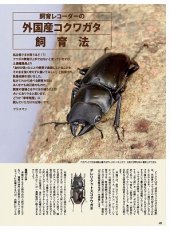 画像10: BE-KUWA No.81 (10)