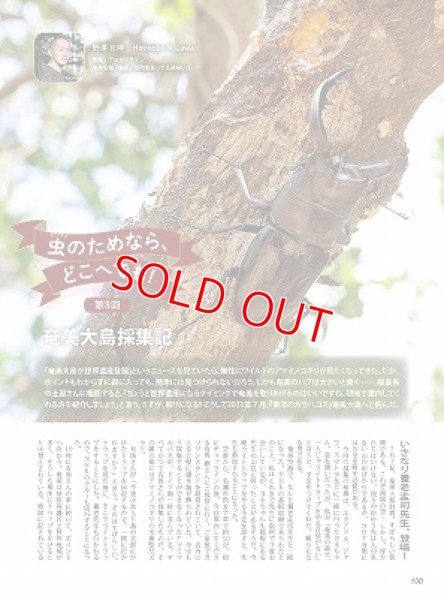 画像14: BE-KUWA No.81 (14)