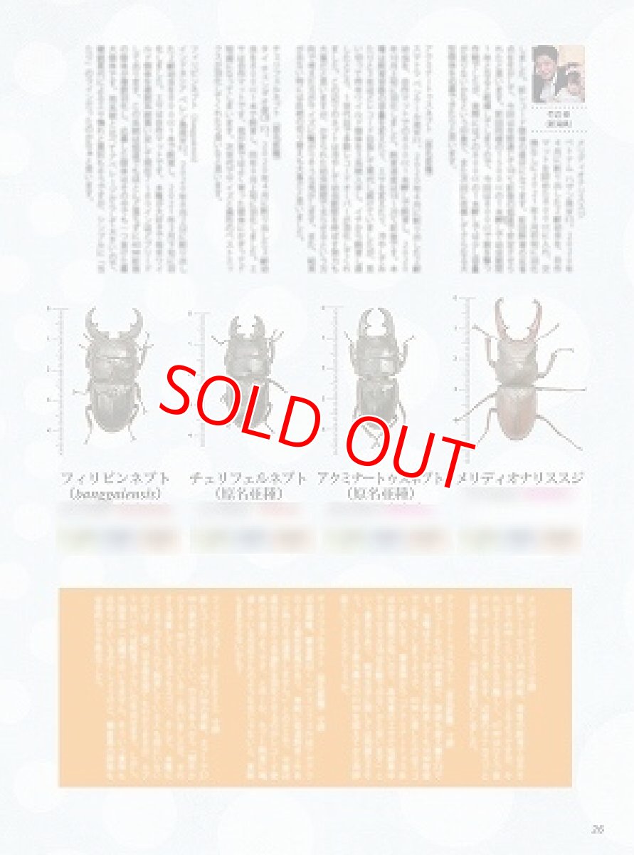 画像7: BE-KUWA No.81 (7)