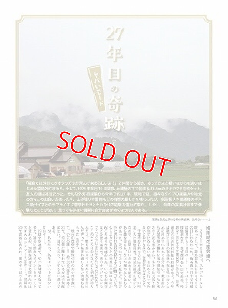 画像11: BE-KUWA No.81 (11)