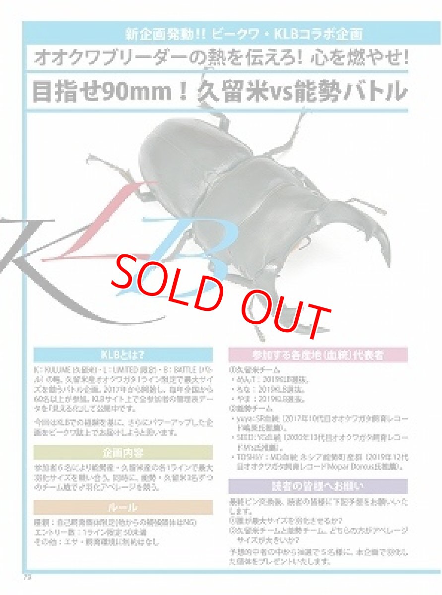 画像13: BE-KUWA No.81 (13)