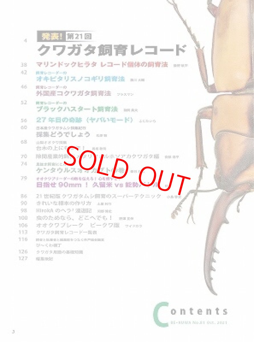 画像2: BE-KUWA No.81 (2)