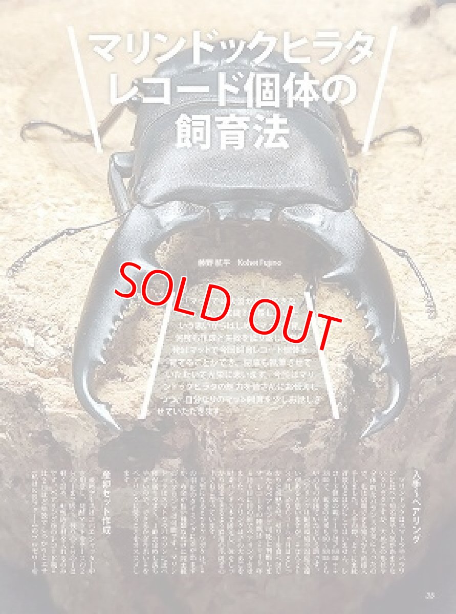 画像9: BE-KUWA No.81 (9)