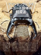 画像9: BE-KUWA No.81 (9)