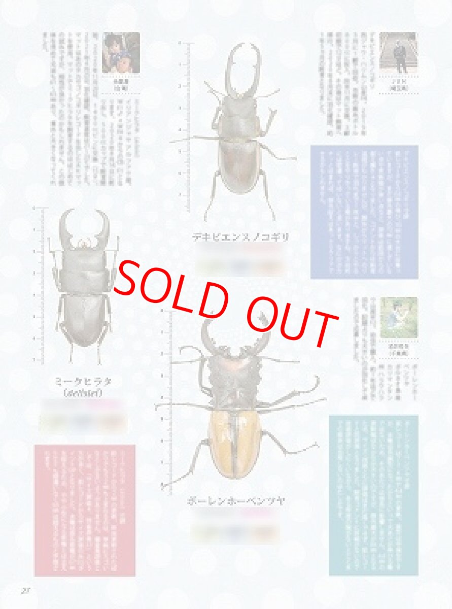 画像8: BE-KUWA No.81 (8)