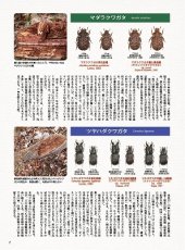 画像6: BE-KUWA No.80 (6)