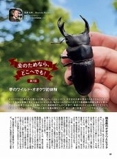 画像12: BE-KUWA No.80 (12)