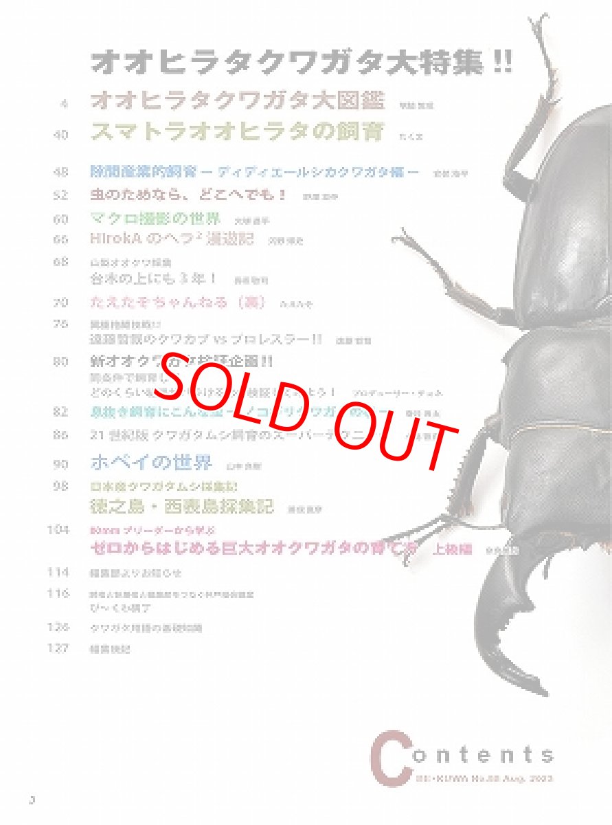 画像2: BE-KUWA No.88 (2)