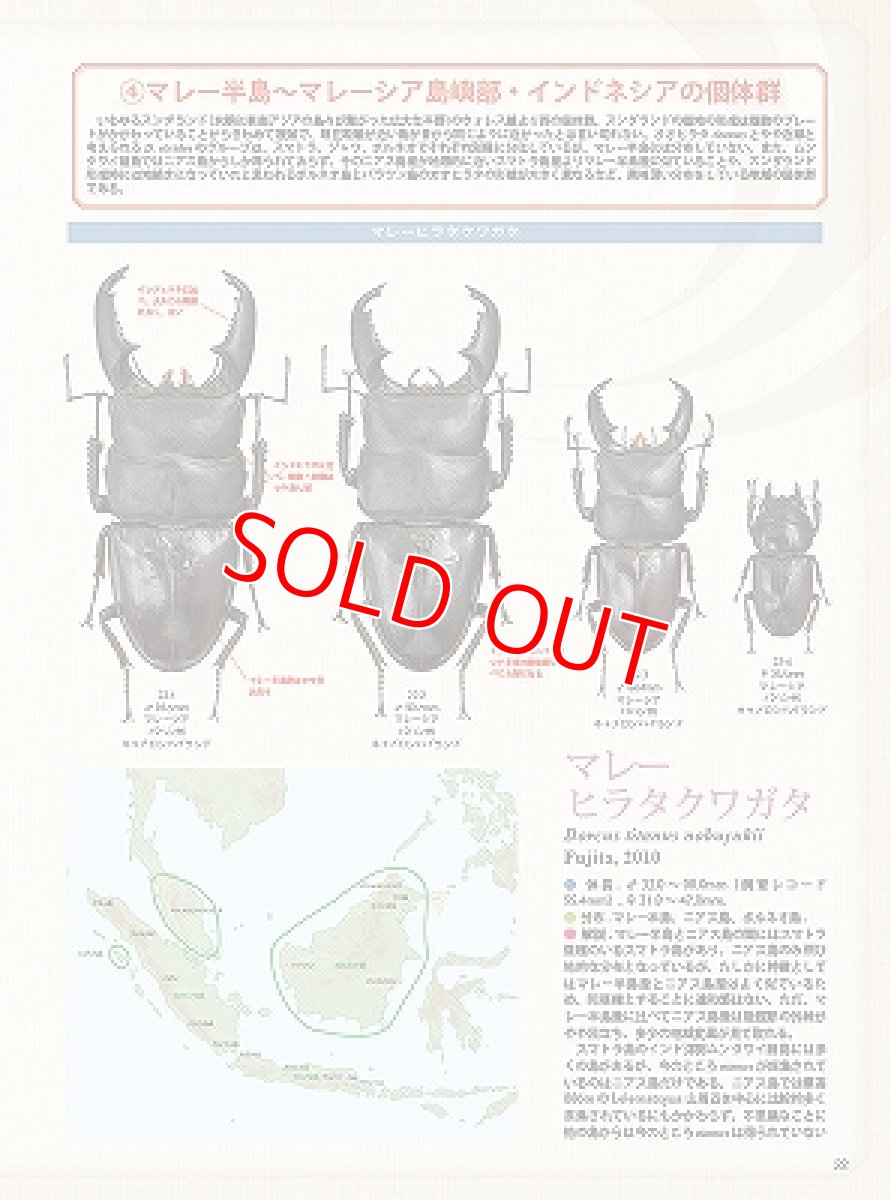 画像3: BE-KUWA No.88 (3)