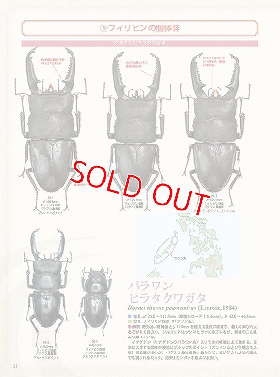 画像4: BE-KUWA No.88 (4)